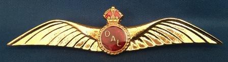 (image for) PILOT WINGS: " Queensland Airlines "