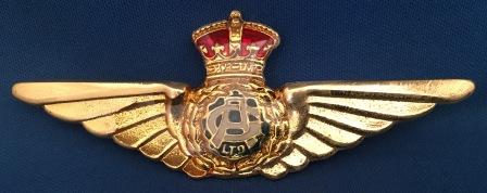 (image for) PILOT WINGS: " Guinea Airways "
