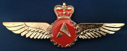 (image for) PILOT WINGS: " Ansett Airlines of PNG "