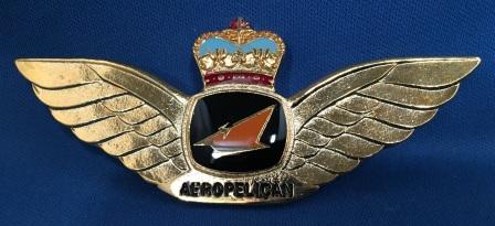 (image for) PILOT WINGS: " Aeropelican Air Services "