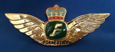 (image for) PILOT WINGS: " Forrestair "