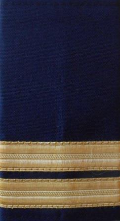 (image for) DARK NAVY EPAULETTES - 2 Bar GOLD (SET OF 2) - Click Image to Close