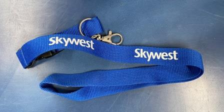 LANYARD (image for) LANYARD