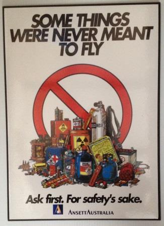 "SOME THINGS WERE NEVER MEANT TO FLY" POSTER (image for) "SOME THINGS WERE NEVER MEANT TO FLY" POSTER