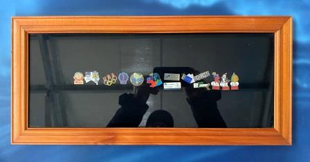 (image for) FRAMED ASSORTED PINS