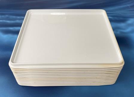 IN-FLIGHT MEAL TRAYS (image for) IN-FLIGHT MEAL TRAYS