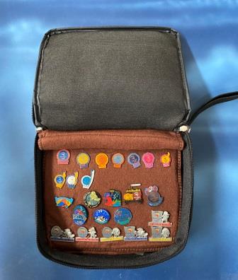 (image for) COUNTDOWN PINS x 24