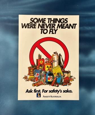 (image for) POSTER: "Some things were never meant to fly"