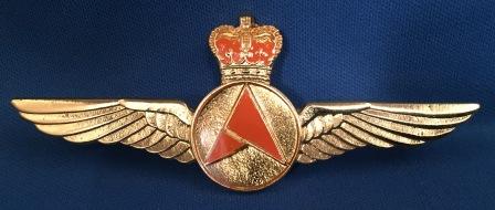 (image for) PILOT WINGS: " Ansett MMA "