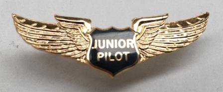 (image for) LAPEL BADGE: "Junior Pilot" - Click Image to Close