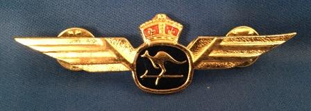 (image for) PILOT WINGS: TAA 'new style'