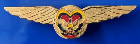 PILOT WINGS: " Air Niugini " (image for) PILOT WINGS: " Air Niugini "