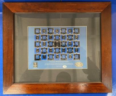 (image for) FRAMED OFFICIAL SYDNEY 2000 OLYMPIC GAMES PICTOGRAMS
