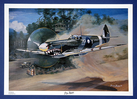 (image for) RAAF PRINT - "GREY NURSE" SPITFIRE - MKVIII